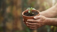 Hands holding terracotta pot with green seedling sprouting from dark soil against warm blurred natural background for gardening and growth concepts.