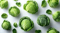 Fresh whole green savoy cabbage heads and leaves scattered on white background, organic vegetables pattern layout for healthy eating and cooking.