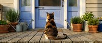 German Shepherd dog sitting on wooden porch facing blue front door of house, waiting patiently by entrance with potted plants and home exterior decor.