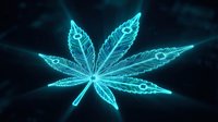 Glowing neon cannabis leaf with electric blue light effects on dark background for modern digital art and futuristic design projects.