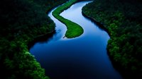 Aerial view of a winding river with serpentine curves flowing through dense green forest landscape, showcasing natural waterway patterns and lush vegetation from above.