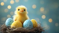 Adorable fluffy yellow chick sitting in nest with colorful speckled eggs against soft bokeh background for Easter and spring celebrations.