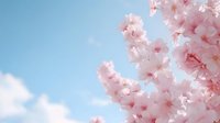 Delicate pink cherry blossoms against bright blue spring sky with soft white clouds, creating serene natural atmosphere for seasonal and romantic designs.