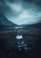 Lone white flower blooms in dark mountain valley under moody stormy sky, dramatic landscape with snow-capped peaks and misty atmosphere creates surreal scene.