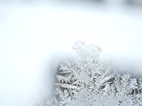 Frost crystals forming delicate ice patterns on frozen window glass, creating intricate natural designs. Winter weather and cold temperature concept for seasonal backgrounds and nature themes.