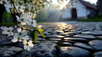 Blooming dogwood branch over ancient cobblestone path at sunset, white spring flowers against sunlit stone road leading to rustic chapel building in background.