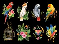 Colorful parrot and tropical bird illustrations with floral elements, isolated on transparent background. Ready for t-shirt design, clipart, stickers, sublimation, and print-on-demand projects.