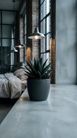 Potted succulent plant in modern industrial bedroom with concrete floors, brick walls, and hanging pendant lights creating contemporary home decor ambiance.