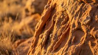 Golden sandstone rock formation with natural erosion patterns and textures illuminated by warm sunlight creating dramatic shadows and highlights.