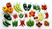 Assorted fresh peppers and chili varieties arranged on white background, including bell peppers, jalapeños, and hot peppers for culinary and cooking content.