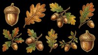 Acorn and oak leaf botanical illustrations isolated on transparent background. Ready for clipart, t-shirt design, stickers, print-on-demand products, and sublimation projects.