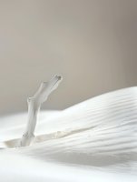 Minimalist winter scene with single bare white branch emerging from pristine snow drift, creating subtle shadows against neutral beige background.