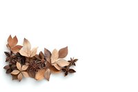 Dried autumn leaves and star anise arranged on white background creating natural seasonal composition with copy space for text or design elements.