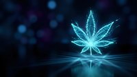 Glowing cyan cannabis leaf with digital wireframe structure on dark blue background with bokeh lights and reflection for medical marijuana concepts.