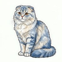 Fluffy long-haired cat with blue-gray tabby markings and amber eyes sitting upright on white background, isolated for design use.