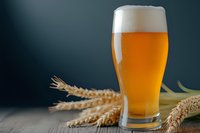 Tall glass of fresh craft beer with thick white foam head and golden amber color, surrounded by wheat ears on rustic wooden surface against dark background.