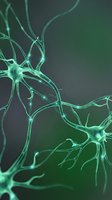 Glowing green neurons with interconnected dendrites and synapses on dark background, depicting brain cell network activity.