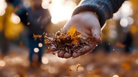 Hands cupping autumn leaves with warm bokeh lights creating magical seasonal atmosphere for fall decorations and nature concepts.