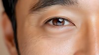 Close up view of Asian male brown eye with clear vision and healthy skin texture showing natural eyelid fold and eyebrow detail in soft lighting.