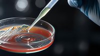 Laboratory scientist using pipette to drop sample into petri dish for medical research and scientific analysis in sterile environment.