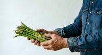 Farmer holding fresh green asparagus spears in hands wearing denim shirt against white background. Suitable for agricultural, organic produce, and farming industry marketing materials.