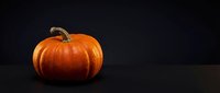 Orange pumpkin on dark background for autumn harvest decoration and Halloween seasonal design projects.