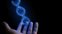 Glowing blue DNA double helix floating above open human hand against dark background. Genetic engineering and biotechnology concept for medical research.