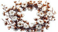 Cotton wreath with white fluffy bolls and brown stems arranged in circular shape on white background, isolated decorative arrangement for farmhouse decor.