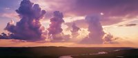 Dramatic purple sunset sky with fluffy clouds over rural landscape. Scenic twilight view with warm golden light and vibrant colors for nature backgrounds.