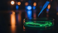 Laboratory petri dish with green fluorescent sample and pipette in scientific research setting with bokeh lights background for biotechnology studies.