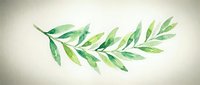 Watercolor green branch with leaves isolated on white background for natural design projects and botanical illustrations.