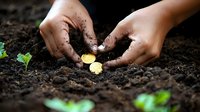 Young hands planting golden coins in fertile soil with green sprouts growing nearby, representing financial growth, investment and wealth building concept.