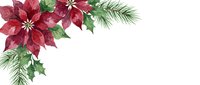 Watercolor poinsettia flowers with holly leaves and evergreen branches arranged in corner composition on white background for holiday designs.