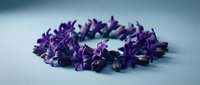 Purple flower lei garland made from fresh violet petals arranged in circular wreath on soft blue background for Hawaiian tropical decoration and celebration.