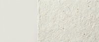 Minimalist beige textured wall background with smooth and rough plaster surfaces side by side for modern interior design and architectural projects.