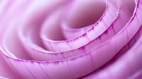 Soft pink spiral curves create gentle abstract background with delicate light and shadow play, showcasing smooth flowing lines in macro photography.