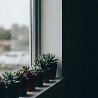 Small succulent plants in terracotta pots arranged on white windowsill with raindrops on glass creating cozy indoor gardening atmosphere for home decor.