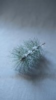 Fresh pine branch with frost crystals on gray linen fabric creating minimalist winter holiday decoration for seasonal design projects.