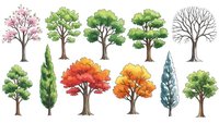 Collection of diverse trees in different seasons and styles isolated on white background for landscape design and nature illustrations.