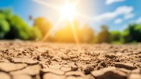 Cracked dry soil texture in sunlight with natural lens flare and blurred green vegetation background, depicting drought and climate change effects.