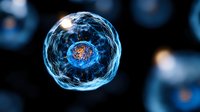 Glowing blue cell with red nucleus on dark background, suitable for medical, scientific, and educational presentations about biology and cellular structure.