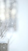 Soft winter scene with falling snow and bare tree branches creating peaceful seasonal atmosphere for holiday and nature designs.
