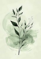 Delicate botanical line art branch with leaves against soft sage green watercolor splash background, minimalist nature illustration for wall art and stationery design.