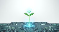 Young plant sprouting from circuit board with glowing digital roots, symbolizing technology growth, innovation, and sustainable digital transformation for business and environmental concepts.