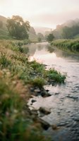 Serene river flowing through misty valley with lush green hills, scattered trees, and rocky banks at dawn or dusk. Peaceful landscape for nature, travel, and wellness projects.