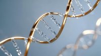 Glowing golden DNA helix structure with crystal clear molecular bonds against soft blue background, representing genetic research and biotechnology advancement.