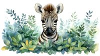 Young zebra head surrounded by watercolor eucalyptus leaves and tropical foliage in soft blue-green tones, creating gentle nursery art composition.