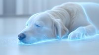 Sleeping white Golden Retriever dog illuminated by soft blue neon light creating dreamy atmosphere. Close up portrait of resting pet on light background.