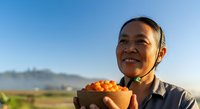 Farmer holding fresh oranges in agricultural field during harvest season with clear sky and rural landscape in background.
