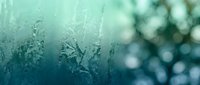Frost patterns on a teal window glass with blurred bokeh trees in background, winter cold texture in blue green tones.